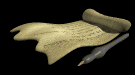 CUSTOM MADE SPELLS